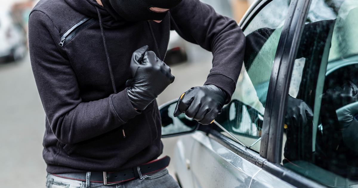 Forestalling Vehicle Robbery